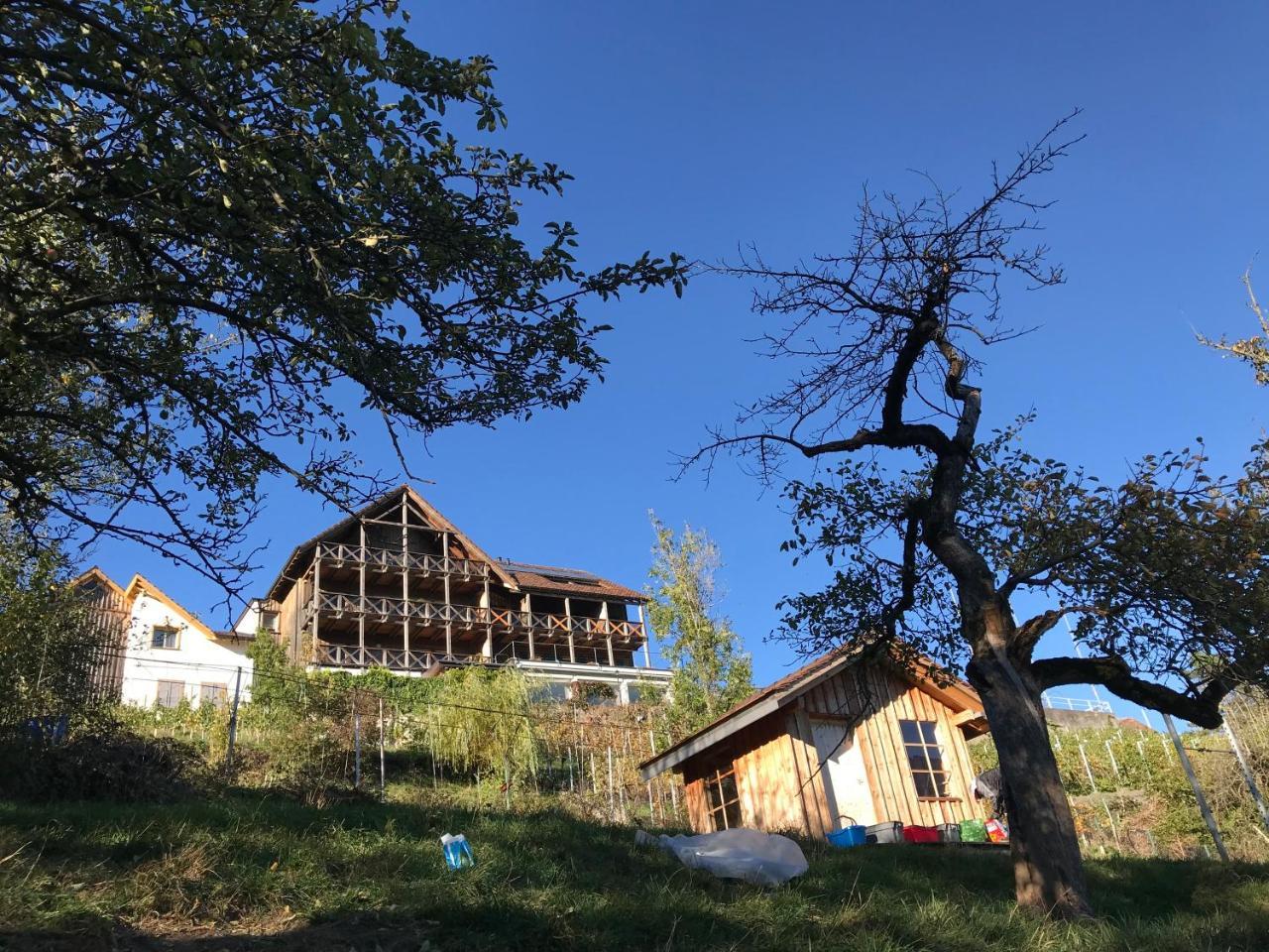 Bed and Breakfast Atelier 67 Oberschan Экстерьер фото